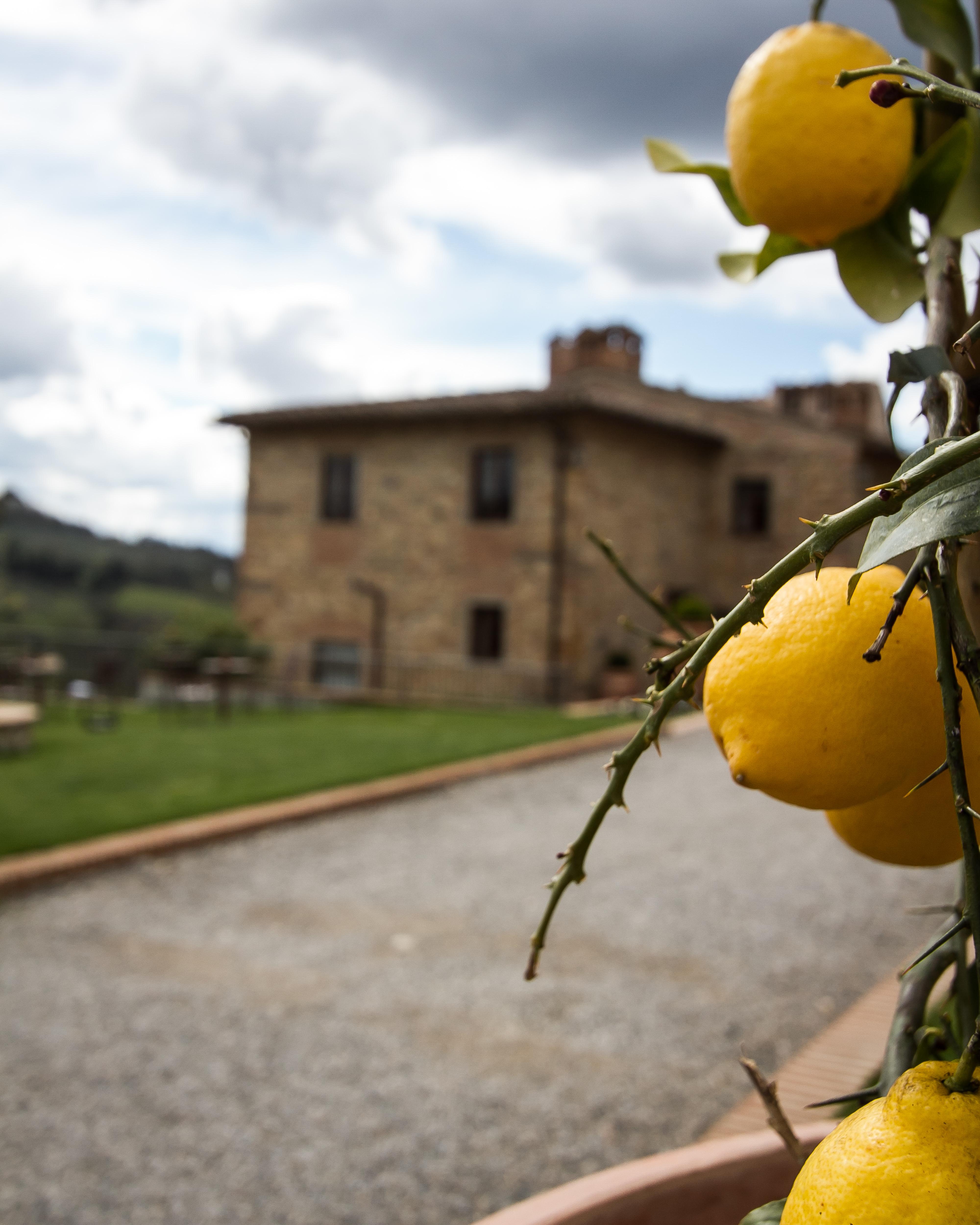 Relais Villa Olmo - Place Of Charme 因普鲁内塔 外观 照片